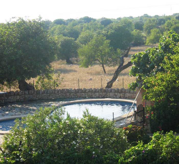 view of pool from casita